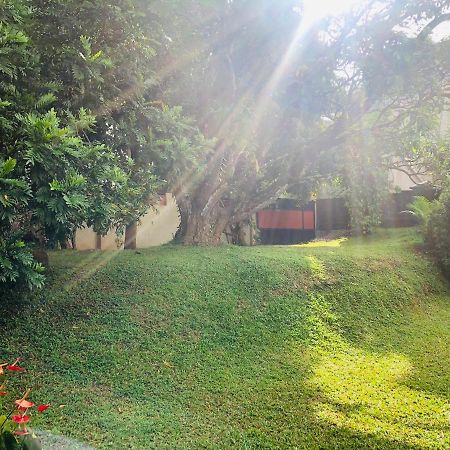 47 Alfred House - Free Pickup From Kandy City Luaran gambar