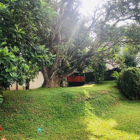 47 Alfred House - Free Pickup From Kandy City Luaran gambar